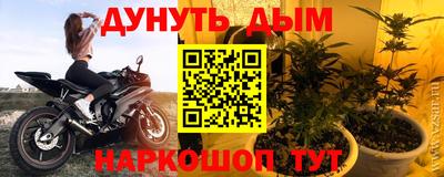 дживик Можга