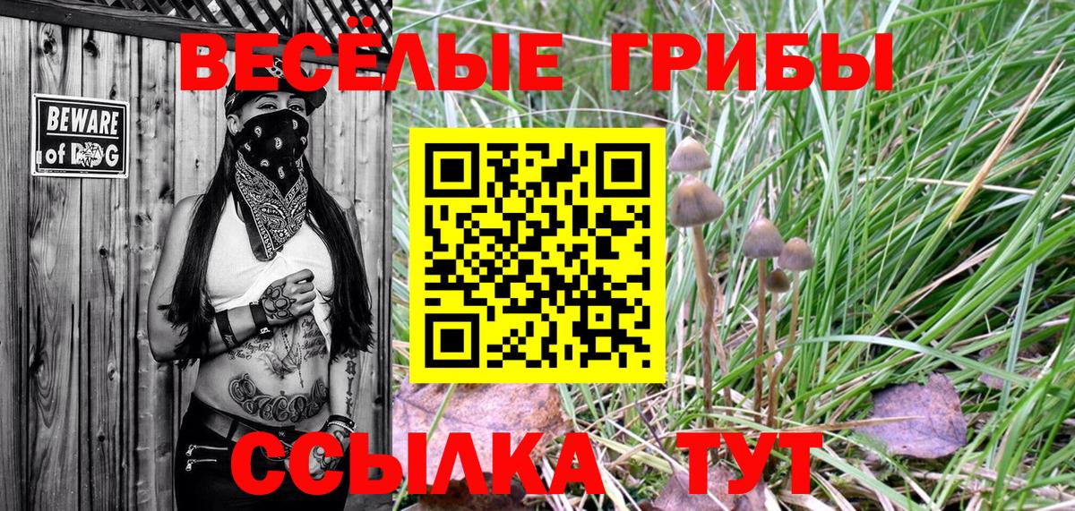 Галлюциногенные грибы GOLDEN TEACHER  Вход с VPN  Георгиевск 